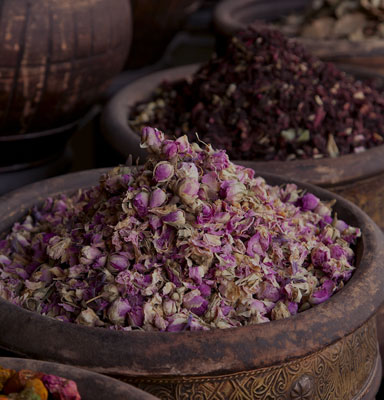 promo-banner-image